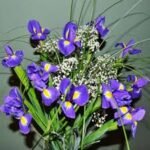 image001